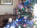 Filename=IMG_1838.JPG
Filesize=430KiB
Dimensions=2048x1536
Date added=Feb 09, 2018 IMG_1838.JPG
