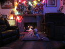 Filename=IMG_1841.JPG
Filesize=318KiB
Dimensions=2048x1536
Date added=Feb 09, 2018 IMG_1841.JPG