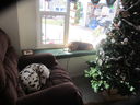 Filename=IMG_1845.JPG
Filesize=357KiB
Dimensions=2048x1536
Date added=Feb 09, 2018 IMG_1845.JPG