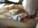 Filename=DSC01794.JPG
Filesize=266KiB
Dimensions=2048x1536
Date added=Feb 09, 2018 DSC01794.JPG