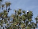 Filename=DSC01797.JPG
Filesize=598KiB
Dimensions=2048x1536
Date added=Feb 09, 2018 DSC01797.JPG