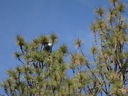 Filename=DSC01799.JPG
Filesize=663KiB
Dimensions=2048x1536
Date added=Feb 09, 2018 DSC01799.JPG