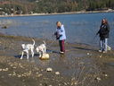 Filename=DSC01804.JPG
Filesize=737KiB
Dimensions=2048x1536
Date added=Feb 09, 2018 DSC01804.JPG