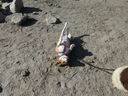 Filename=DSC01808.JPG
Filesize=959KiB
Dimensions=2048x1536
Date added=Feb 09, 2018 DSC01808.JPG