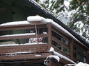 Filename=DSC01813.JPG
Filesize=514KiB
Dimensions=2048x1536
Date added=Feb 09, 2018 DSC01813.JPG