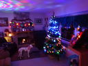 Filename=DSC01820.JPG
Filesize=383KiB
Dimensions=2048x1536
Date added=Feb 09, 2018 DSC01820.JPG