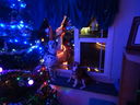 Filename=DSC01824.JPG
Filesize=433KiB
Dimensions=2048x1536
Date added=Feb 09, 2018 DSC01824.JPG