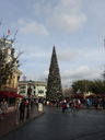 Filename=DSC01834.JPG
Filesize=410KiB
Dimensions=1536x2048
Date added=Feb 09, 2018 DSC01834.JPG