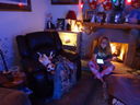 Filename=DSC01837.JPG
Filesize=369KiB
Dimensions=2048x1536
Date added=Feb 09, 2018 DSC01837.JPG