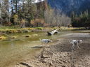 Filename=DSC02275.JPG
Filesize=1030KiB
Dimensions=2048x1536
Date added=Feb 09, 2018 DSC02275.JPG
