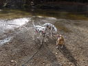 Filename=DSC02276.JPG
Filesize=987KiB
Dimensions=2048x1536
Date added=Feb 09, 2018 DSC02276.JPG