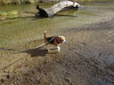 Filename=DSC02278.JPG
Filesize=962KiB
Dimensions=2048x1536
Date added=Feb 09, 2018 DSC02278.JPG
