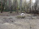 Filename=DSC02280.JPG
Filesize=960KiB
Dimensions=2048x1536
Date added=Feb 09, 2018 DSC02280.JPG