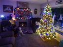 Filename=DSC02310.JPG
Filesize=482KiB
Dimensions=2048x1536
Date added=Feb 09, 2018 DSC02310.JPG