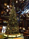 Filename=DSC02318.JPG
Filesize=589KiB
Dimensions=1536x2048
Date added=Feb 09, 2018 DSC02318.JPG