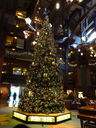 Filename=DSC02319.JPG
Filesize=586KiB
Dimensions=1536x2048
Date added=Feb 09, 2018 DSC02319.JPG