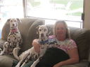 Filename=IMG_1267.JPG
Filesize=295KiB
Dimensions=2048x1536
Date added=Feb 01, 2018 IMG_1267.JPG