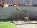 Filename=IMG_1269.JPG
Filesize=599KiB
Dimensions=2048x1536
Date added=Feb 01, 2018 IMG_1269.JPG
