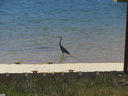 Filename=IMG_1275.JPG
Filesize=632KiB
Dimensions=2048x1536
Date added=Feb 01, 2018 IMG_1275.JPG