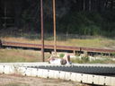 Filename=IMG_1337.JPG
Filesize=496KiB
Dimensions=2048x1536
Date added=Feb 01, 2018 IMG_1337.JPG