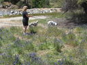Filename=IMG_1341.JPG
Filesize=1088KiB
Dimensions=2048x1536
Date added=Feb 01, 2018 IMG_1341.JPG