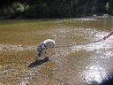 Filename=IMG_1348.JPG
Filesize=903KiB
Dimensions=2048x1536
Date added=Feb 01, 2018 IMG_1348.JPG