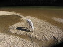 Filename=IMG_1349.JPG
Filesize=936KiB
Dimensions=2048x1536
Date added=Feb 01, 2018 IMG_1349.JPG