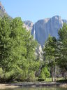 Filename=IMG_1359.JPG
Filesize=920KiB
Dimensions=1536x2048
Date added=Feb 01, 2018 IMG_1359.JPG