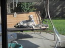 Filename=IMG_1362.JPG
Filesize=494KiB
Dimensions=2048x1536
Date added=Feb 01, 2018 IMG_1362.JPG