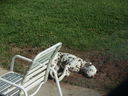 Filename=IMG_1363.JPG
Filesize=660KiB
Dimensions=2048x1536
Date added=Feb 01, 2018 IMG_1363.JPG