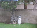 Filename=IMG_1367.JPG
Filesize=339KiB
Dimensions=2048x1536
Date added=Feb 01, 2018 IMG_1367.JPG