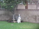 Filename=IMG_1370.JPG
Filesize=568KiB
Dimensions=2048x1536
Date added=Feb 01, 2018 IMG_1370.JPG