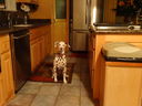 Filename=DSC00444.JPG
Filesize=382KiB
Dimensions=2048x1536
Date added=Feb 01, 2018 DSC00444.JPG