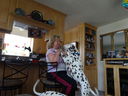 Filename=DSC00482.JPG
Filesize=429KiB
Dimensions=2048x1536
Date added=Feb 01, 2018 DSC00482.JPG