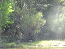 Filename=DSC00505.JPG
Filesize=529KiB
Dimensions=2048x1536
Date added=Feb 01, 2018 DSC00505.JPG