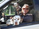 Filename=DSC00514.JPG
Filesize=463KiB
Dimensions=2048x1536
Date added=Feb 01, 2018 DSC00514.JPG