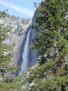 Filename=DSC00524.JPG
Filesize=424KiB
Dimensions=1536x2048
Date added=Feb 01, 2018 DSC00524.JPG