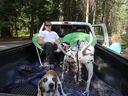Filename=DSC00526.JPG
Filesize=642KiB
Dimensions=2048x1536
Date added=Feb 01, 2018 DSC00526.JPG