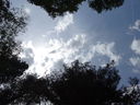 Filename=DSC00536.JPG
Filesize=503KiB
Dimensions=2048x1536
Date added=Feb 01, 2018 DSC00536.JPG