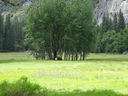 Filename=DSC00538.JPG
Filesize=865KiB
Dimensions=2048x1536
Date added=Feb 01, 2018 DSC00538.JPG
