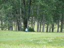 Filename=DSC00539.JPG
Filesize=658KiB
Dimensions=2048x1536
Date added=Feb 01, 2018 DSC00539.JPG
