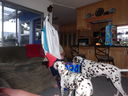 Filename=DSC01231.JPG
Filesize=410KiB
Dimensions=2048x1536
Date added=Feb 08, 2018 DSC01231.JPG