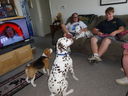 Filename=DSC01238.JPG
Filesize=442KiB
Dimensions=2048x1536
Date added=Feb 08, 2018 DSC01238.JPG