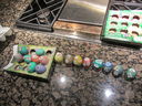 Filename=IMG_1800.JPG
Filesize=661KiB
Dimensions=2048x1536
Date added=Feb 08, 2018 IMG_1800.JPG