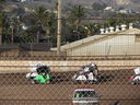 Filename=IMG_1803.JPG
Filesize=718KiB
Dimensions=2048x1536
Date added=Feb 08, 2018 IMG_1803.JPG
