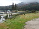 Filename=DSC01588.JPG
Filesize=614KiB
Dimensions=2048x1536
Date added=Feb 08, 2018 DSC01588.JPG