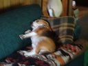 Filename=DSC01597.JPG
Filesize=358KiB
Dimensions=2048x1536
Date added=Feb 08, 2018 DSC01597.JPG