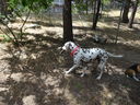 Filename=DSC01608.JPG
Filesize=977KiB
Dimensions=2048x1536
Date added=Feb 08, 2018 DSC01608.JPG