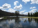 Filename=DSC01611.JPG
Filesize=464KiB
Dimensions=2048x1536
Date added=Feb 08, 2018 DSC01611.JPG