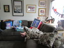 Filename=IMG_0314.JPG
Filesize=403KiB
Dimensions=2048x1536
Date added=Sep 19, 2018 IMG_0314.JPG
